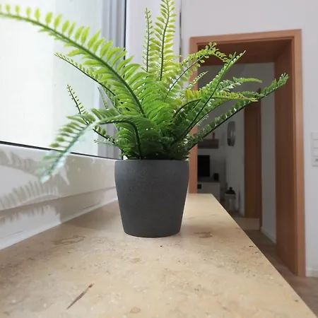 Modern Check-in & Chill Down Auf 65 Qm² Apartment