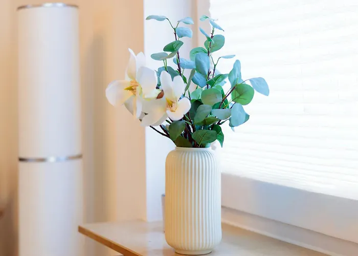 Modern Check-in & Chill Down Auf 65 Qm²